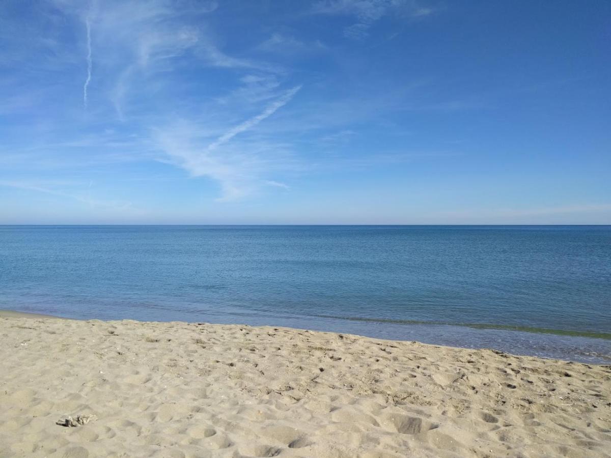 マルティルPiso Centrico Y A Pie De Playa.アパートメント エクステリア 写真